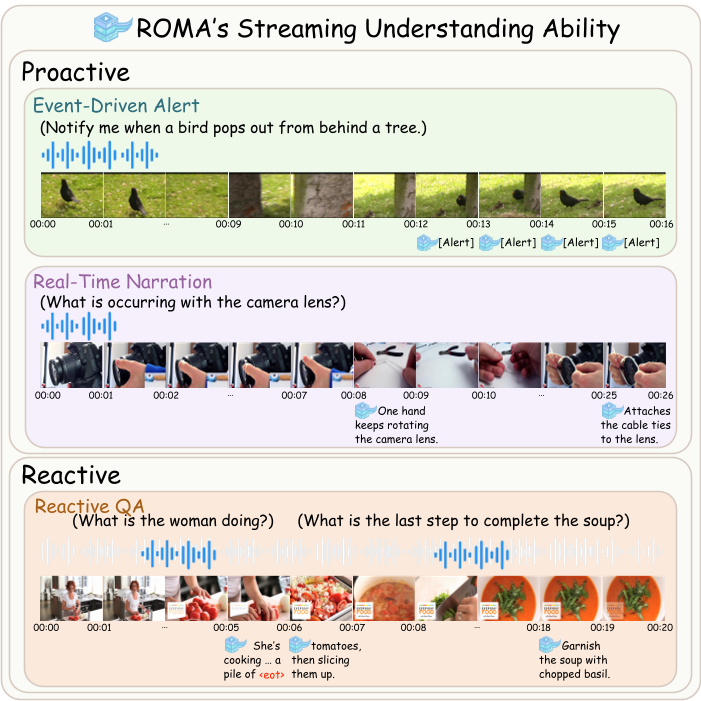 ROMA Streaming Capabilities
